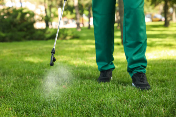 Best Termite Control Services  in Lawrence, IN