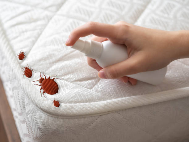 Best Flea Control Services  in Lawrence, IN