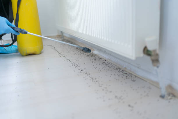 Best Best Pest Control Companies  in Lawrence, IN